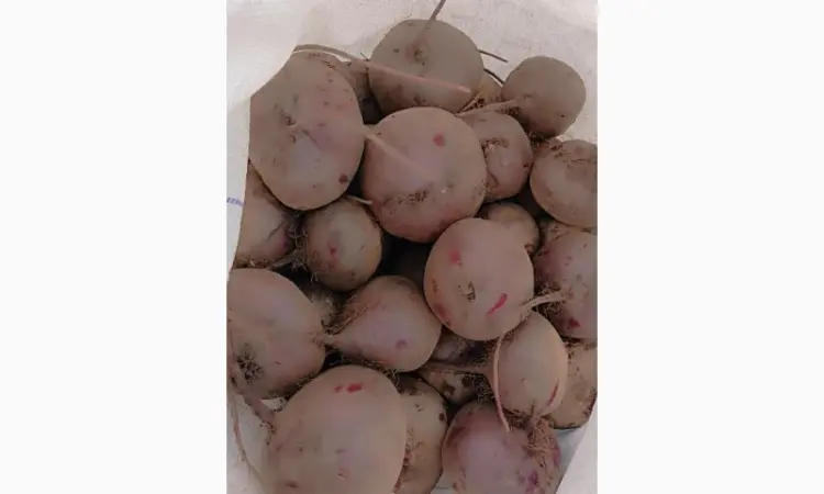 Продам буряк солодкий - фото № 2