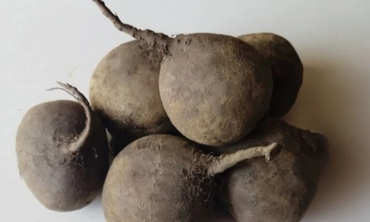 Продаж буряків 2 сорт оптом - фото № 1