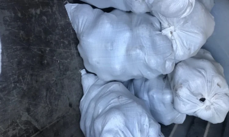 Буряк калібр 6-9 на продаж - фото № 1