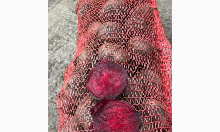 Якісний буряк на продаж - фото № 3