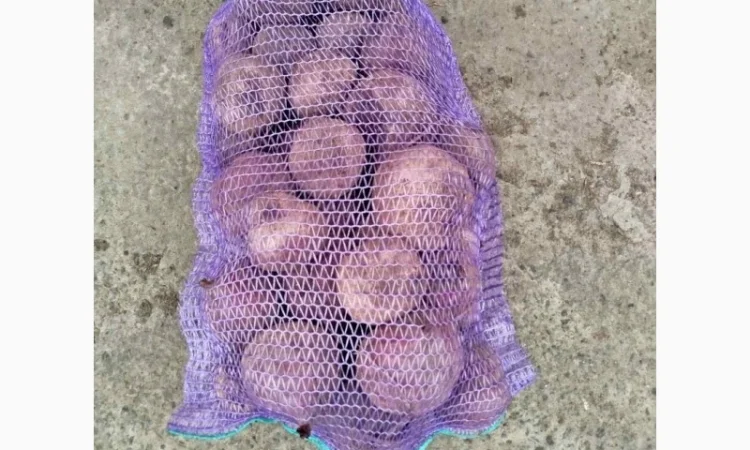 Продажа свеклы н/с и мелкой - фото № 4