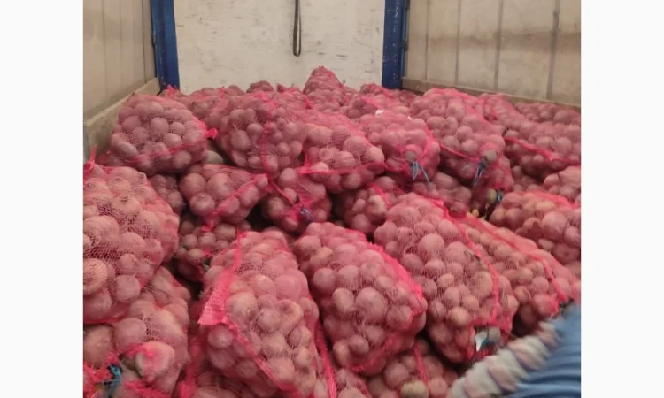 Продаю столовий буряк сорту Зепо - фото № 4