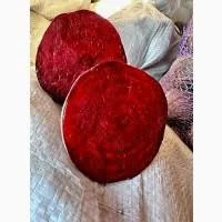 Продажа молодого буряка урожая 2025 - фото № 1