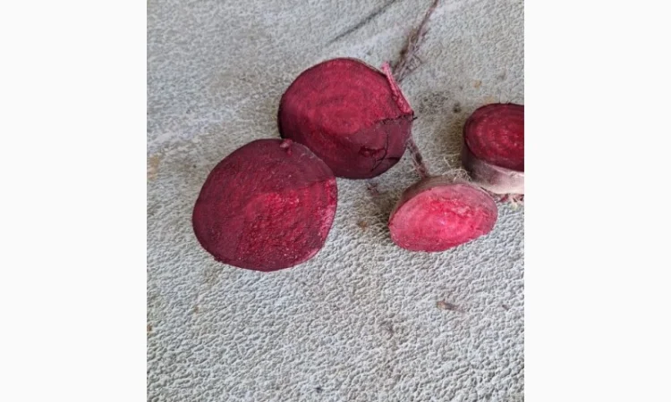 Червоний буряк з Польщі в продажу - фото № 2