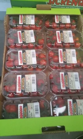 Продаж томатів різних сортів - фото № 3