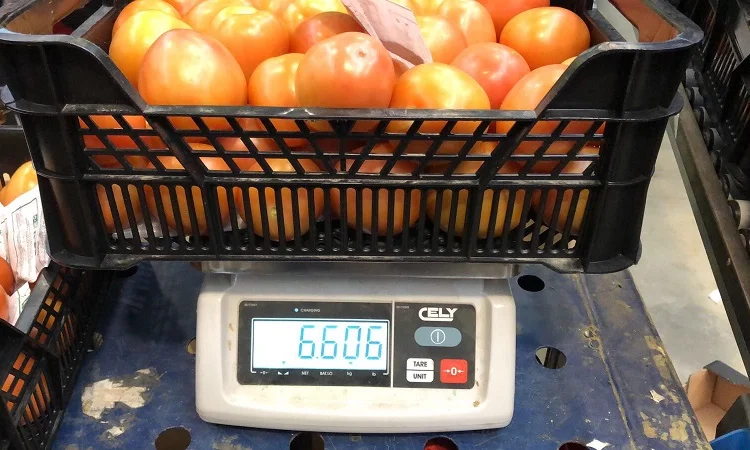 Продаж томатів різних сортів - фото № 17