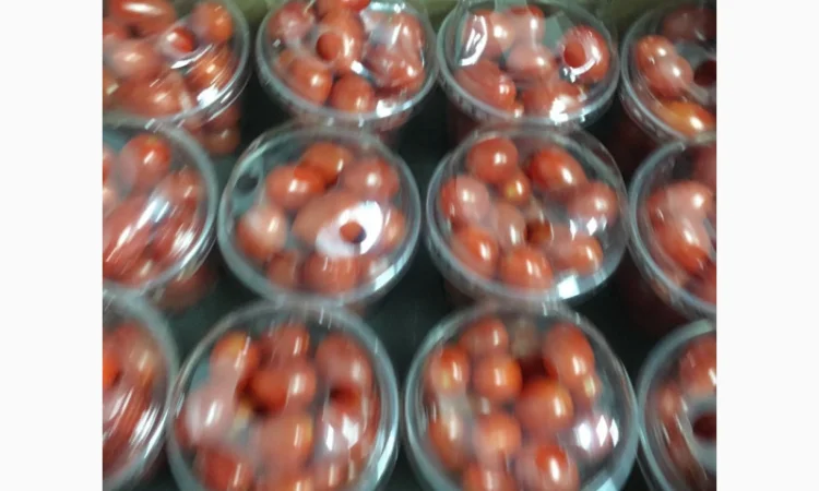 Продаж томатів різних сортів - фото № 12