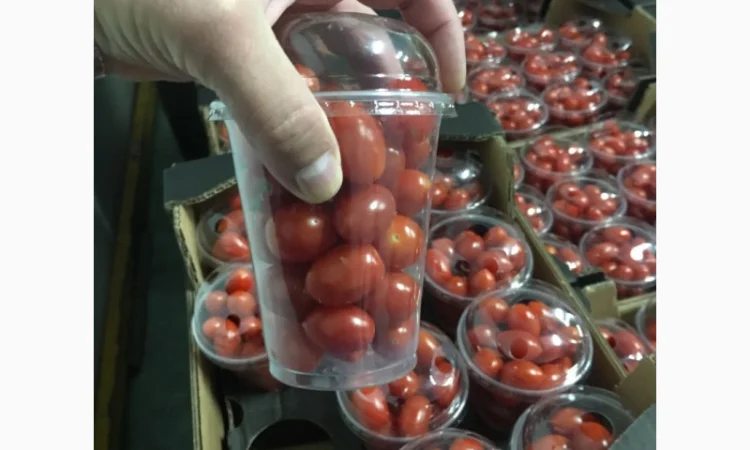 Продаж томатів різних сортів - фото № 11