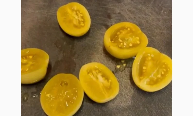 Продаю помідори зелені квашені - фото № 4