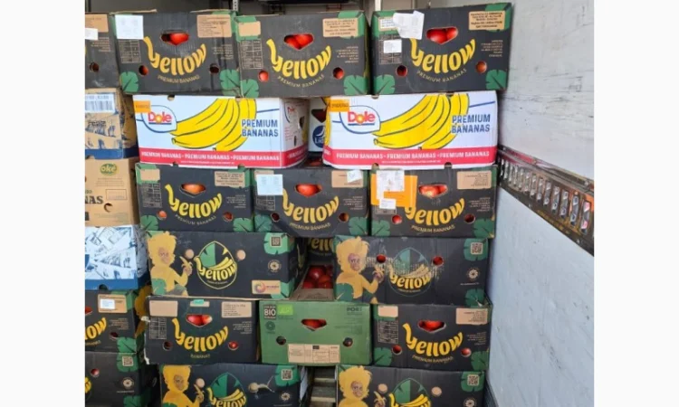 Продаж помідорів румунського виробництва - фото № 1