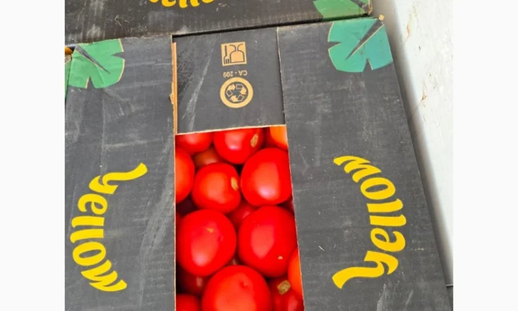 Продаж помідорів румунського виробництва - фото № 2