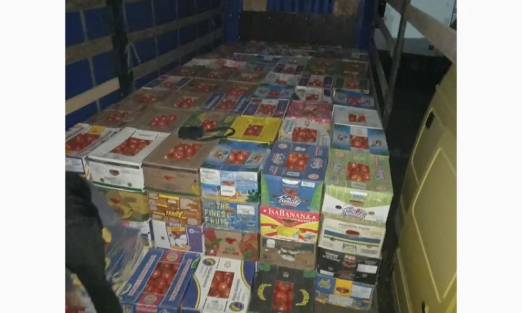 Помідор Шпалєрка на продаж - фото № 4