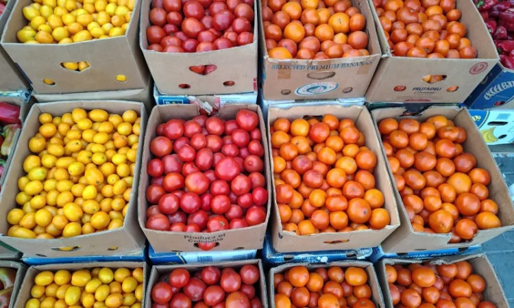 Крупный красный помидор оптом - фото № 1