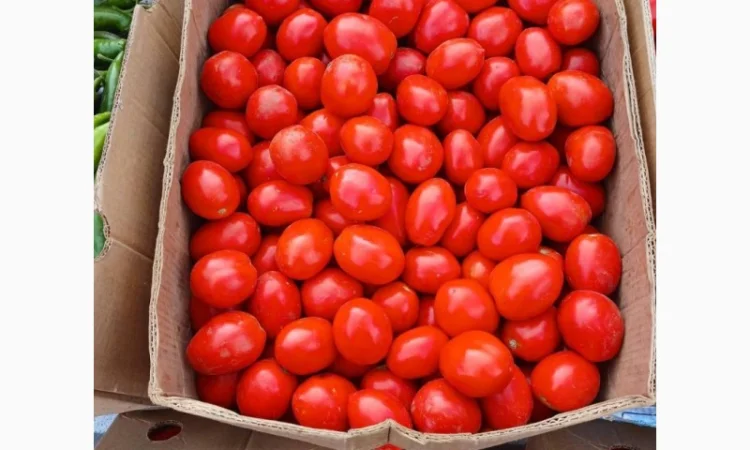 Куплю помідори сливки - фото № 1