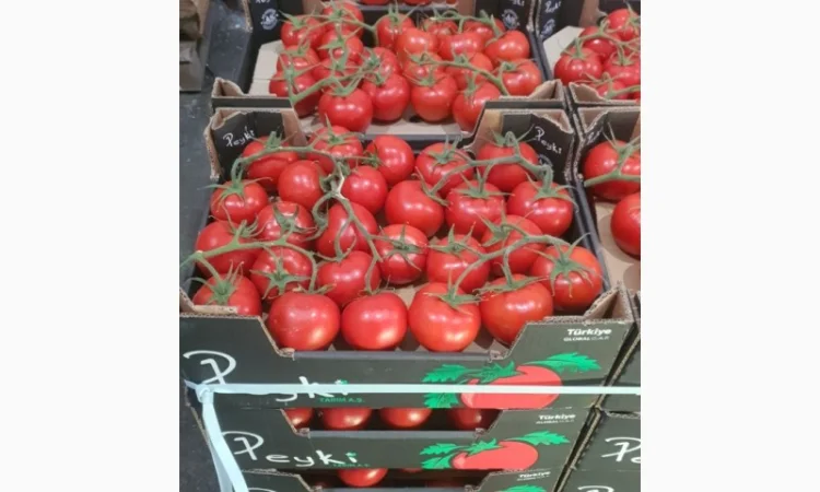 Помідор Гілка на продаж - фото № 1