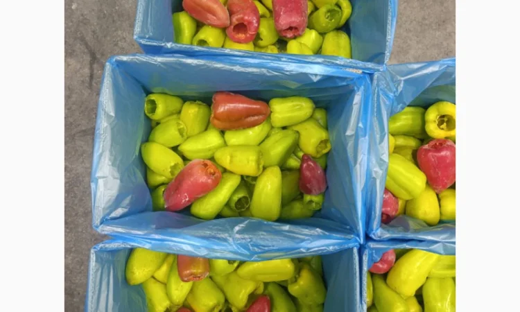 Целый замороженный перец трёх видов - фото № 1