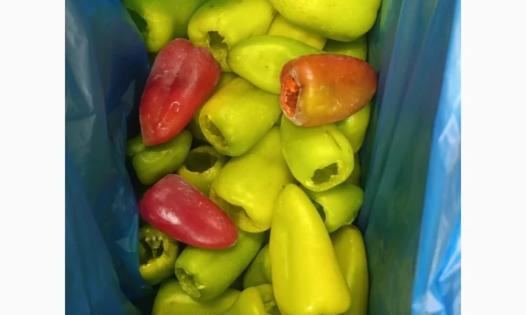 Продаж замороженого перцю Тріо - фото № 1