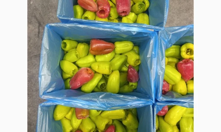 Продаж замороженого перцю Тріо - фото № 3
