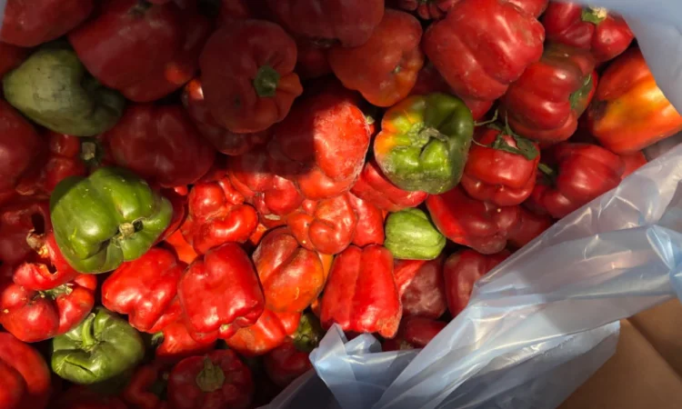 Пропонується заморожений цілий перець - фото № 1