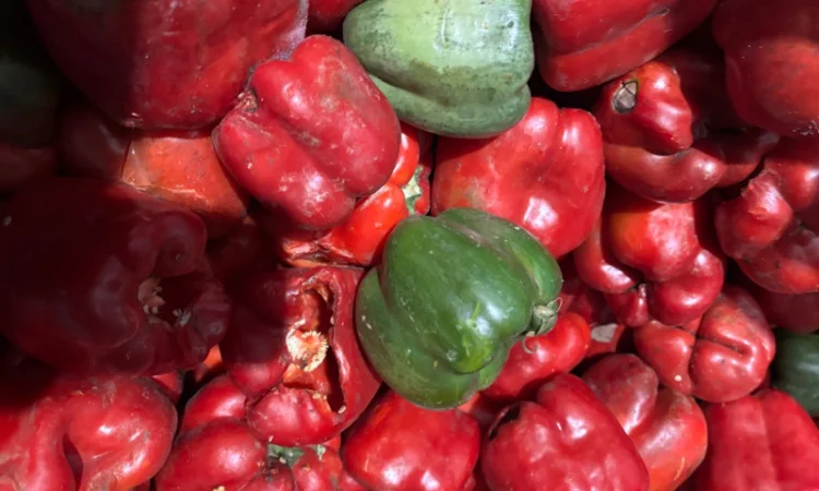 Пропонується заморожений цілий перець - фото № 2