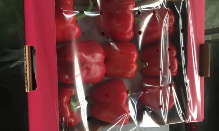 Перець з Іспанії на продаж - фото № 2
