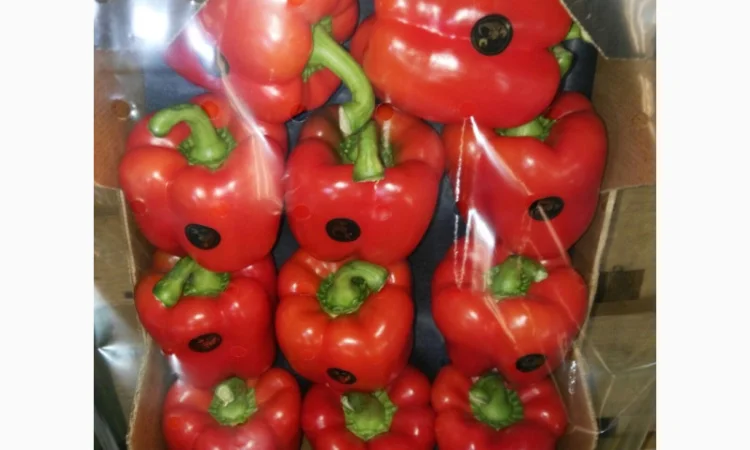 Перець з Іспанії на продаж - фото № 3