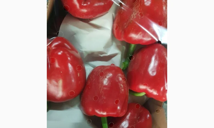 Перець з Іспанії на продаж - фото № 6