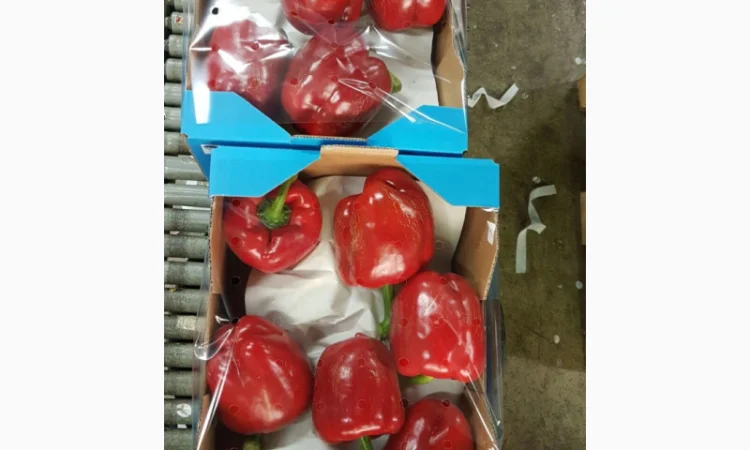 Перець з Іспанії на продаж - фото № 7