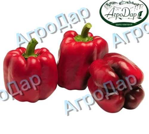 Солодкий перець «Клаудіо f1» на продаж - фото № 2