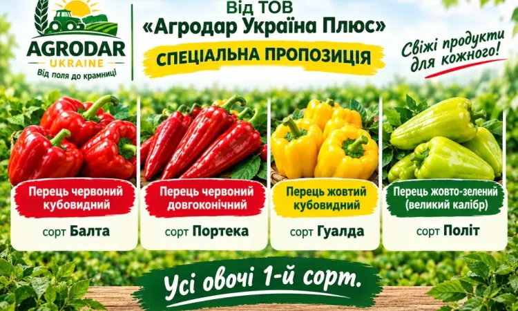 Сладкий перец (Красный желтый зеленый) Кубовидный и длинный - фото № 1