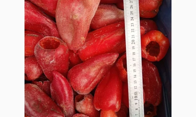 Продаж свіжомороженого столового перця - фото № 2