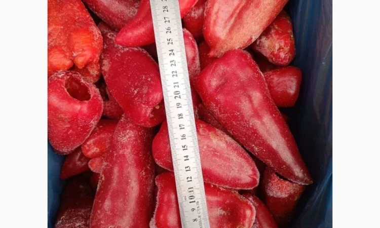 Продаж свіжомороженого столового перця - фото № 4