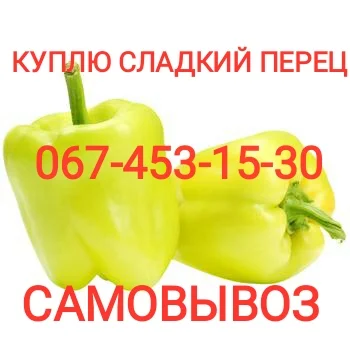 Покупка солодкого перцю - фото № 1