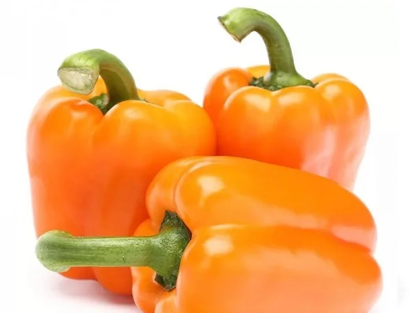 Продаж болгарського солодкого оранжевого перцю з Єгипту - фото № 1