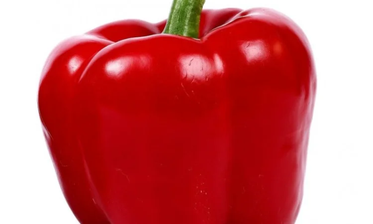 Продаж солодкого болгарського перцю червоного з Єгипту - фото № 1