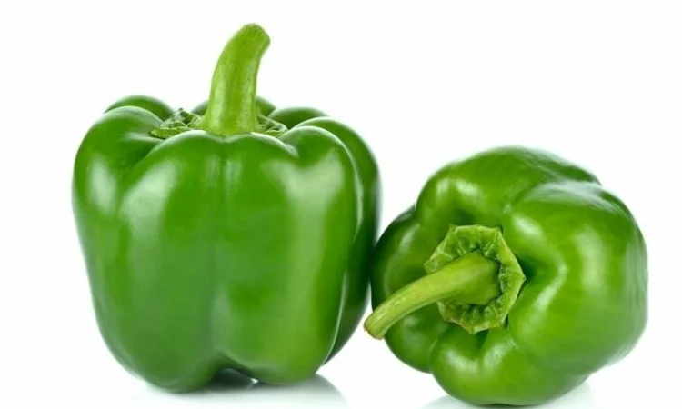 Продаж перцю болгарського солодкого зеленого з Єгипту - фото № 1