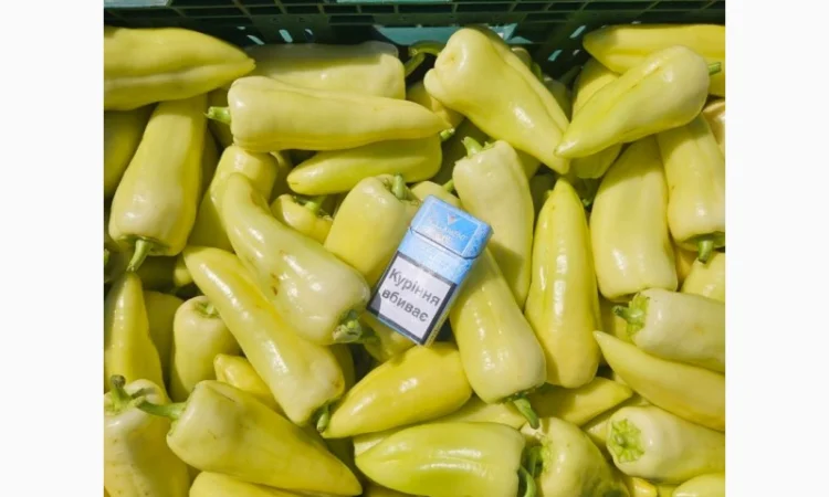 Продаж перцю белозерка і топгір - фото № 1