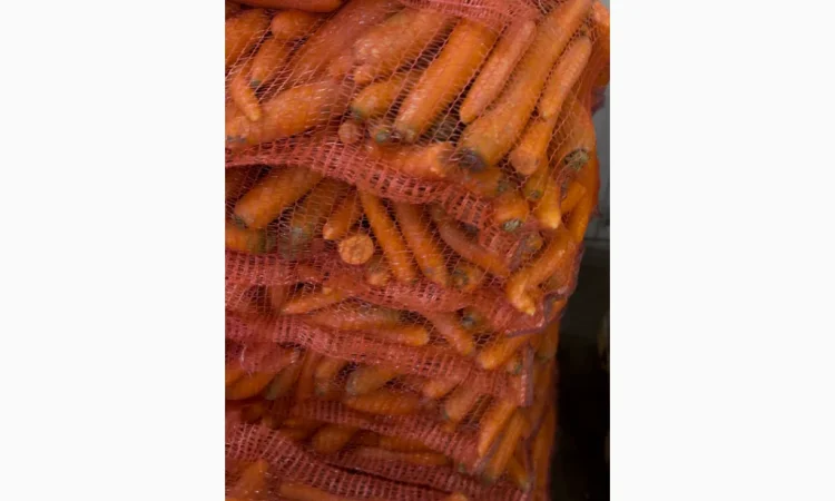 Продажа моркови мита высокого качества - фото № 4