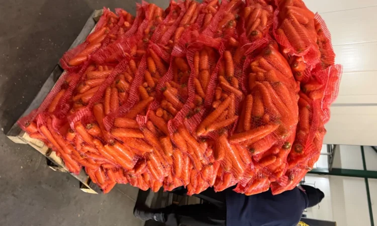Продажа моркови мита высокого качества - фото № 5
