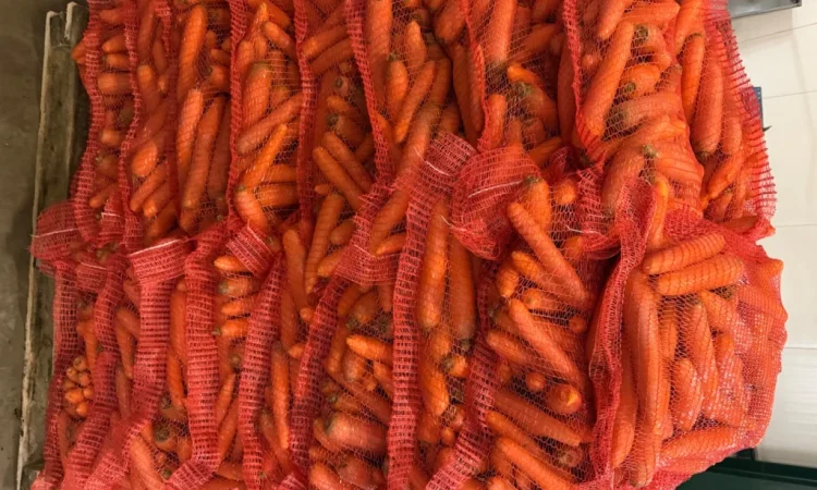 Продажа моркови мита высокого качества - фото № 6