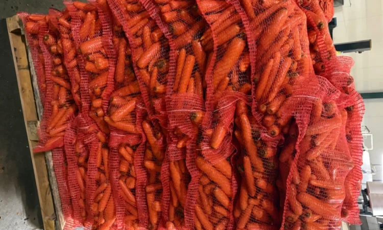 Продажа моркови мита высокого качества - фото № 7