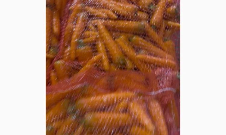 Продаю морковь сорта Шантане 1 гатунок - фото № 2