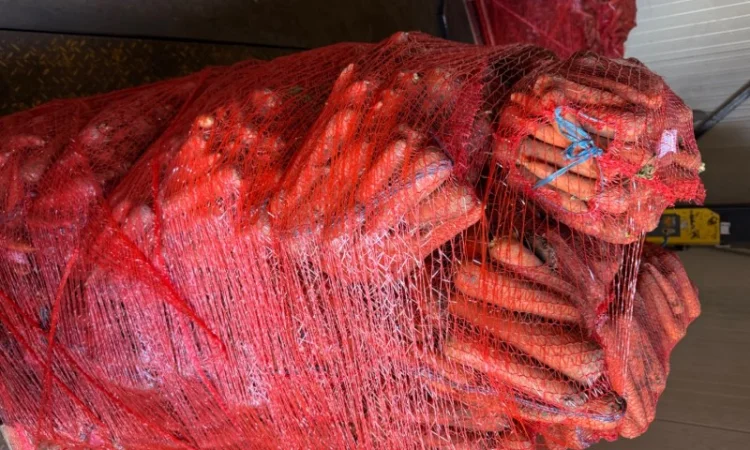 Продаю морковь сорта Шантане 1 гатунок - фото № 7