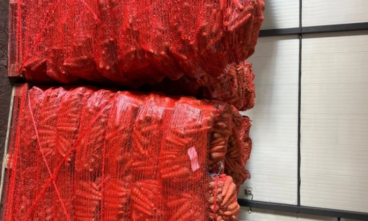 Продаю морковь сорта Шантане 1 гатунок - фото № 8