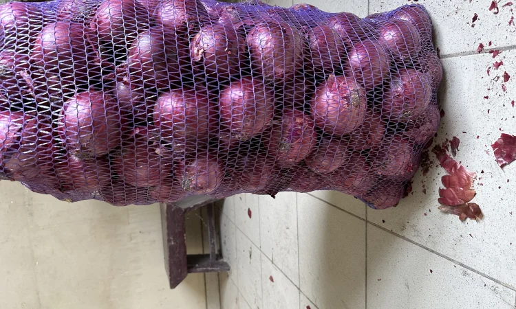 Лук Марс високої якості на продаж - фото № 1