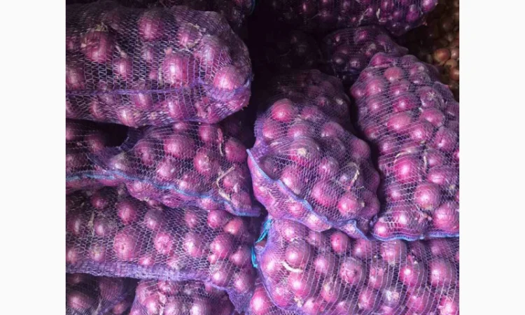 Продаж якісного лука - фото № 2