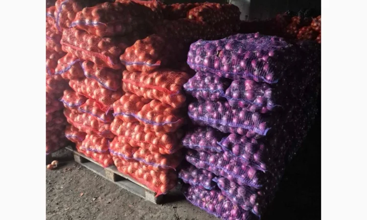 Продаж якісного лука - фото № 4