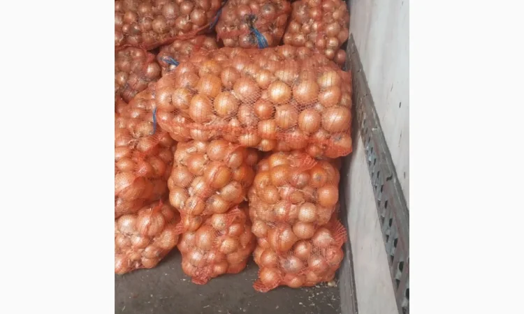 Цибуля пізніх сортів на продаж - фото № 9