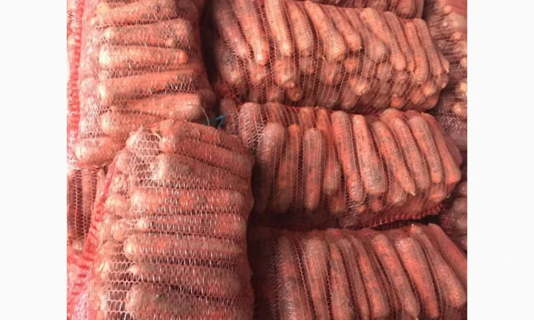 Покупка моркви на постійній основі - фото № 1