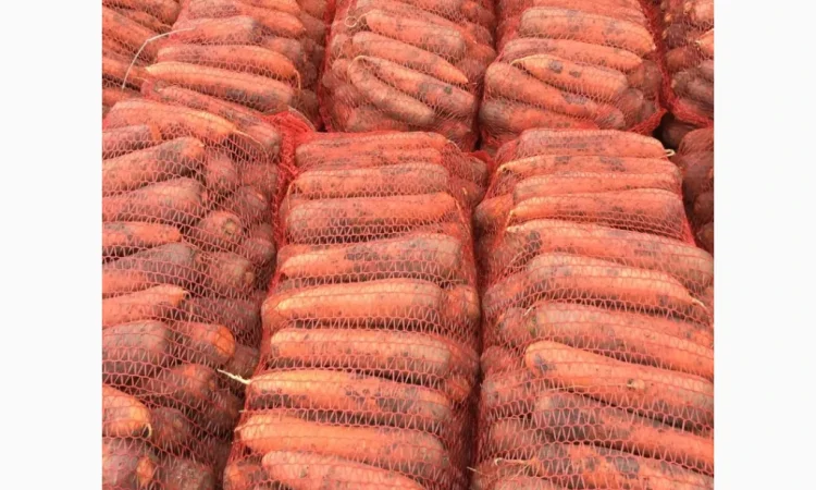 Покупка моркви на постійній основі - фото № 3